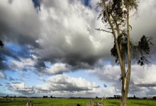 巨星黯淡，快船折戟，洛城德比的叹息与反思