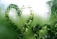 战胜门兴，拜仁“葛杜堡”时代落幕？“泰特牛批”的王朝更迭