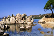 打破记录，中国选手风采无比：荣耀时刻，燃爆全场！