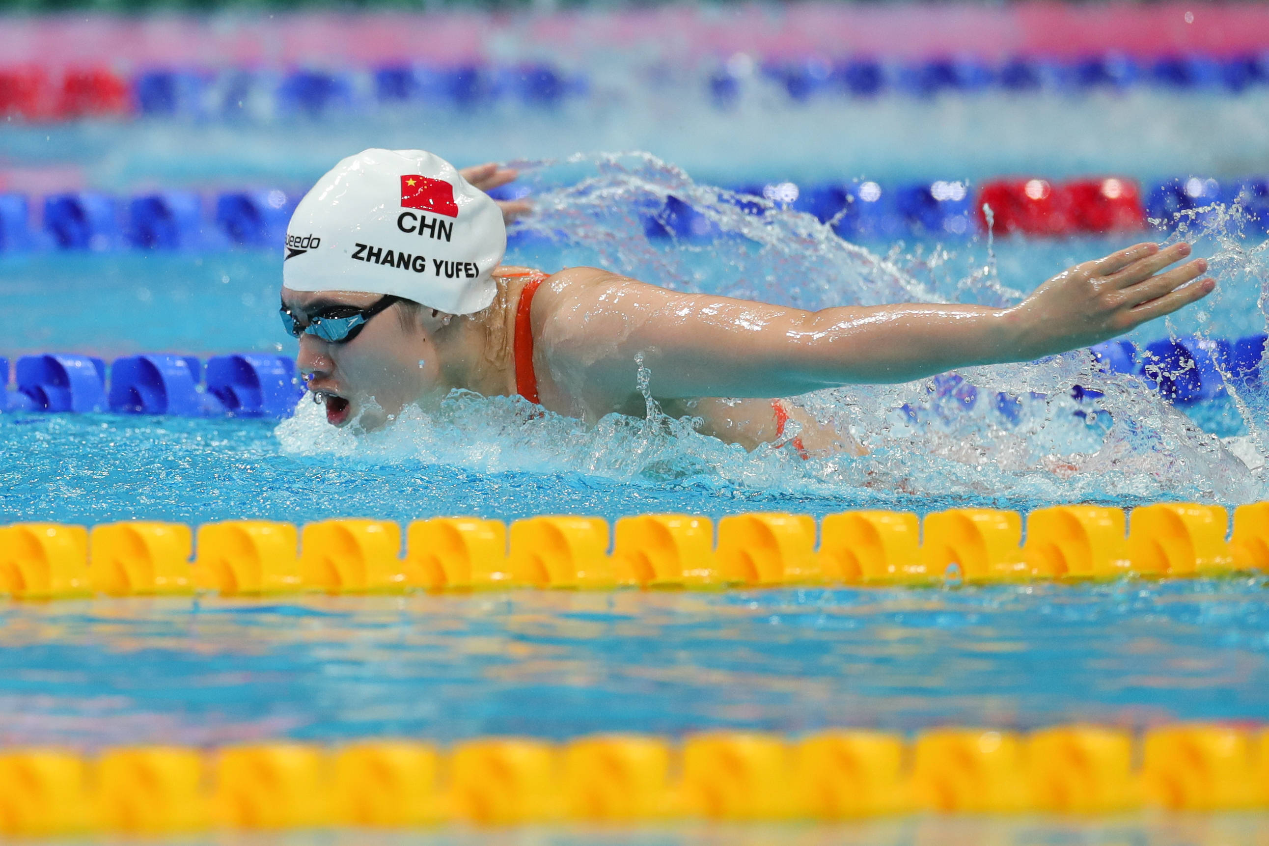 游泳比赛现场,选手泳姿优美的简单介绍 游泳比赛现场,选手泳姿优美的简单介绍