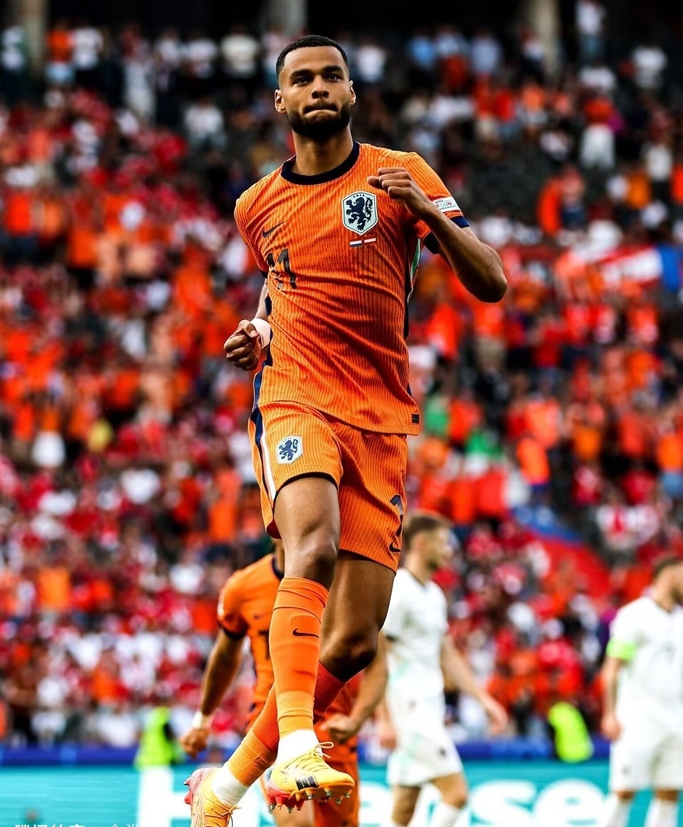 关于荷兰客场击败土耳其，小组排名攀升的信息