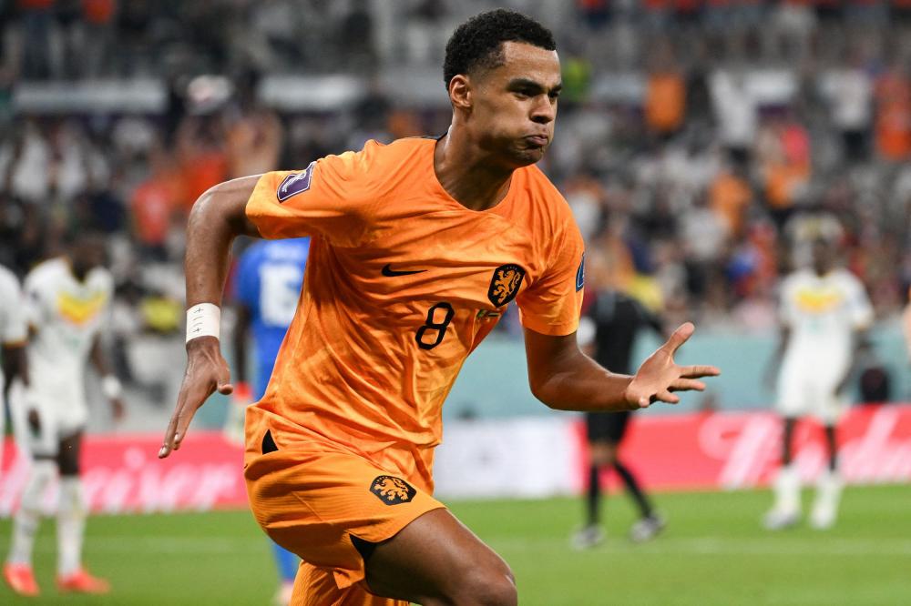 意大利-力克荷兰，成功夺冠的简单介绍